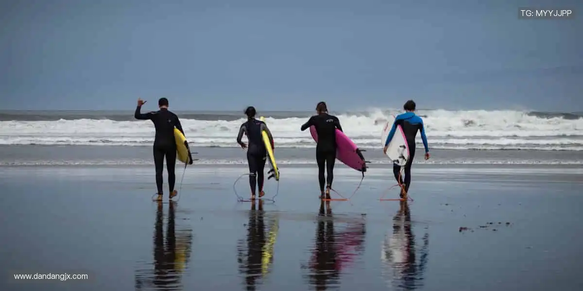 高清直播，细节尽收眼底！📡